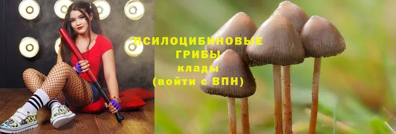 Псилоцибиновые грибы Magic Shrooms  Кораблино 